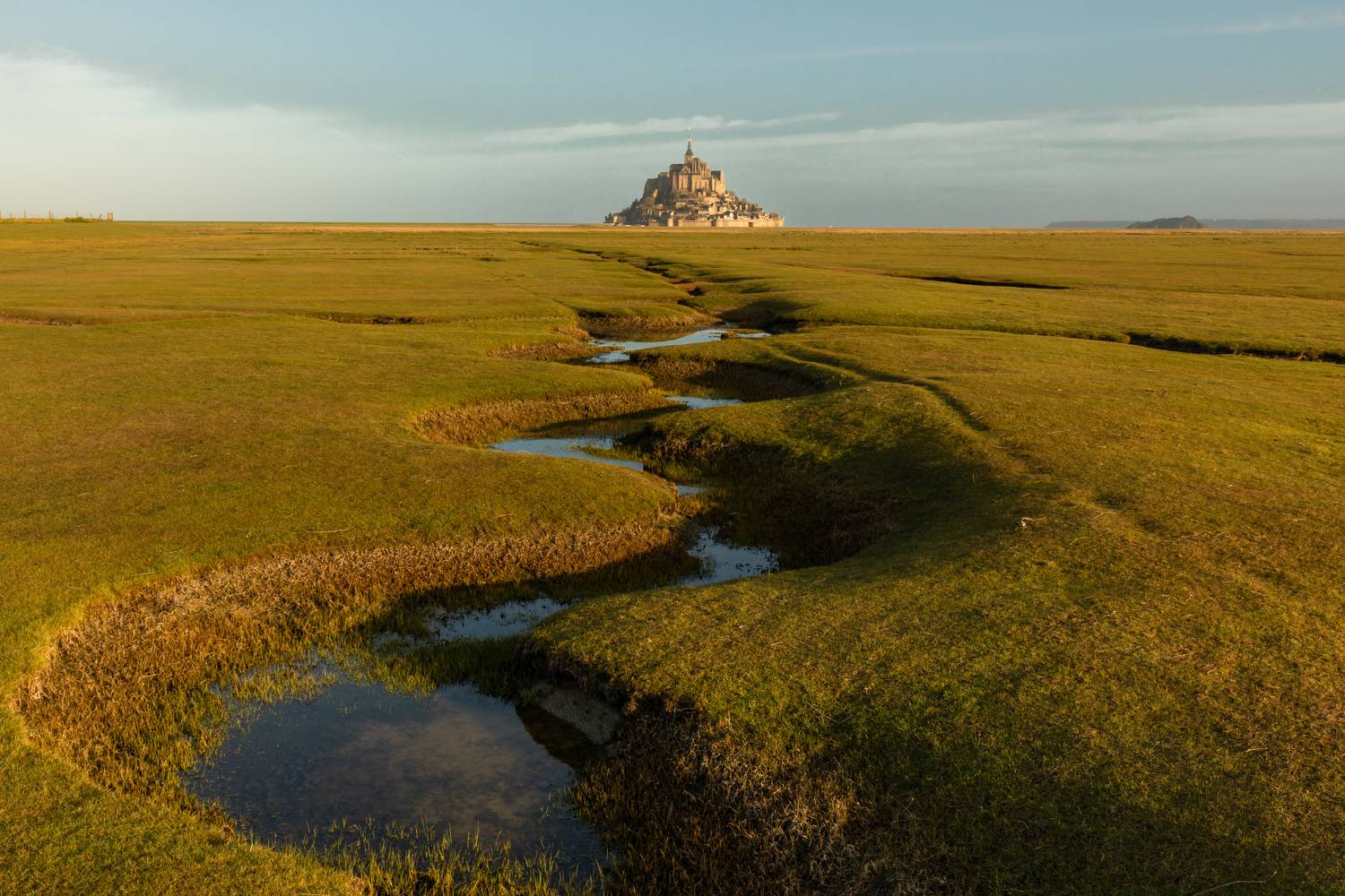 , Евгения Чех