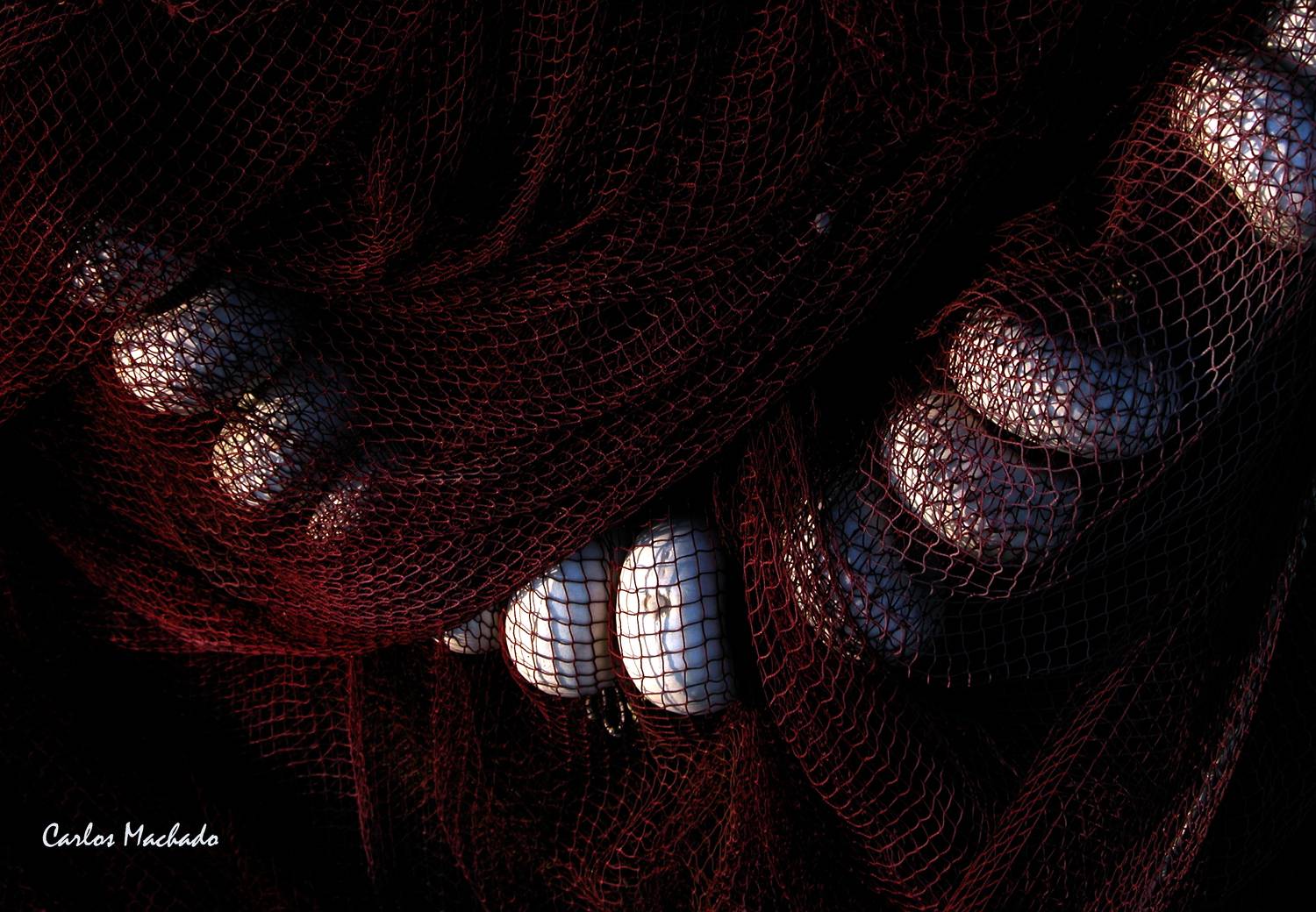 Still life, Macro, fishnets, , Machado Carlos