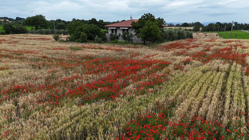Маки, Италия фото превью