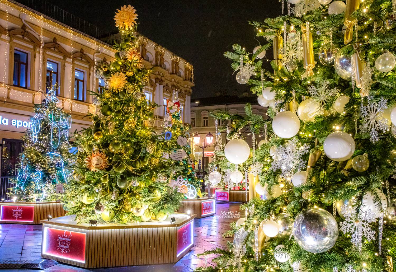 москва зима огинбольшогогорода зимняясказка рождествова, Maria Lo