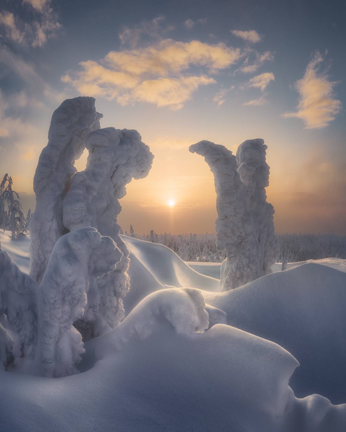 , Медянцев Дмитрий