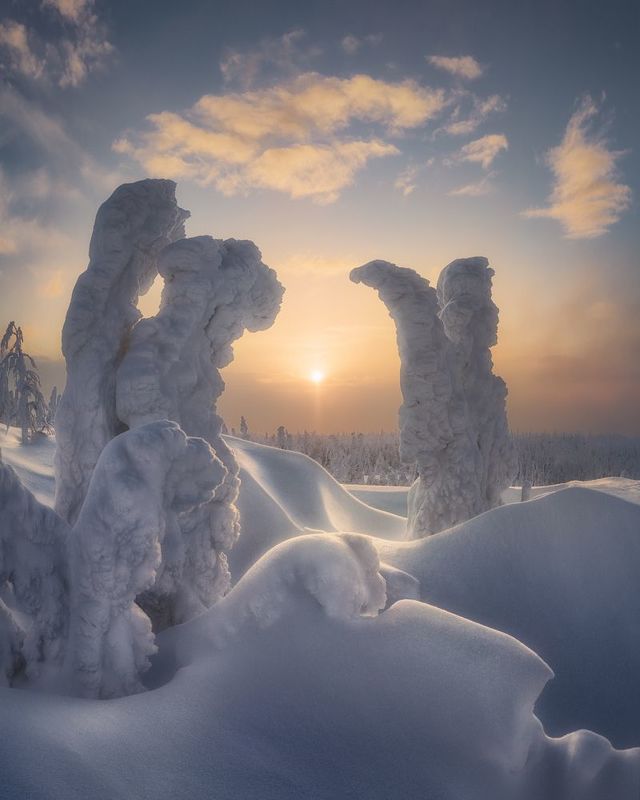 Согреваясь первыми лучами света фото превью