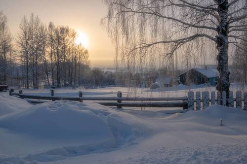 Зимним утром у околицы