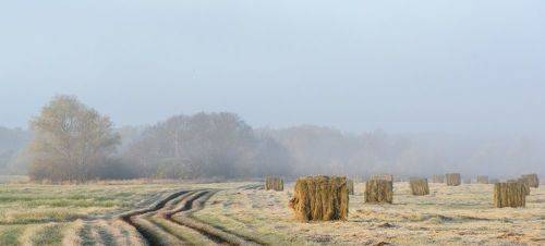 Даль туманная