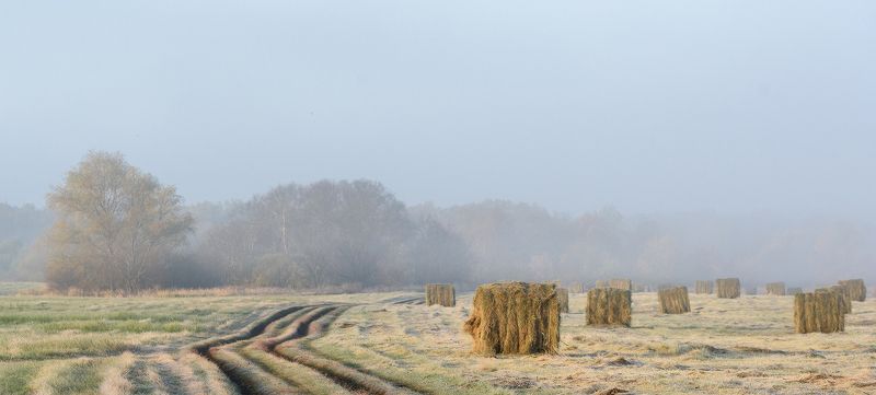 *** Даль туманная фото превью