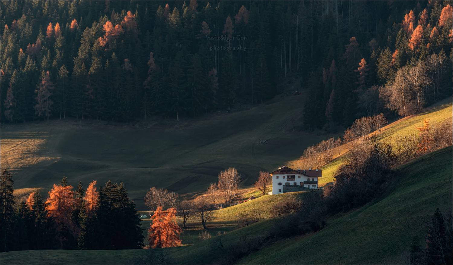 доломитовые альпы,santa maddalena,деревня,val di funes,осень,odle,италия,alps,ranui,san giovanni, hills,rural, Гори Василий