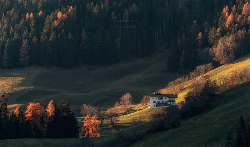 доломитовые альпы,santa maddalena,деревня,val di funes,осень,odle,италия,alps,ranui,san giovanni, hills,rural На опушке леса фото превью