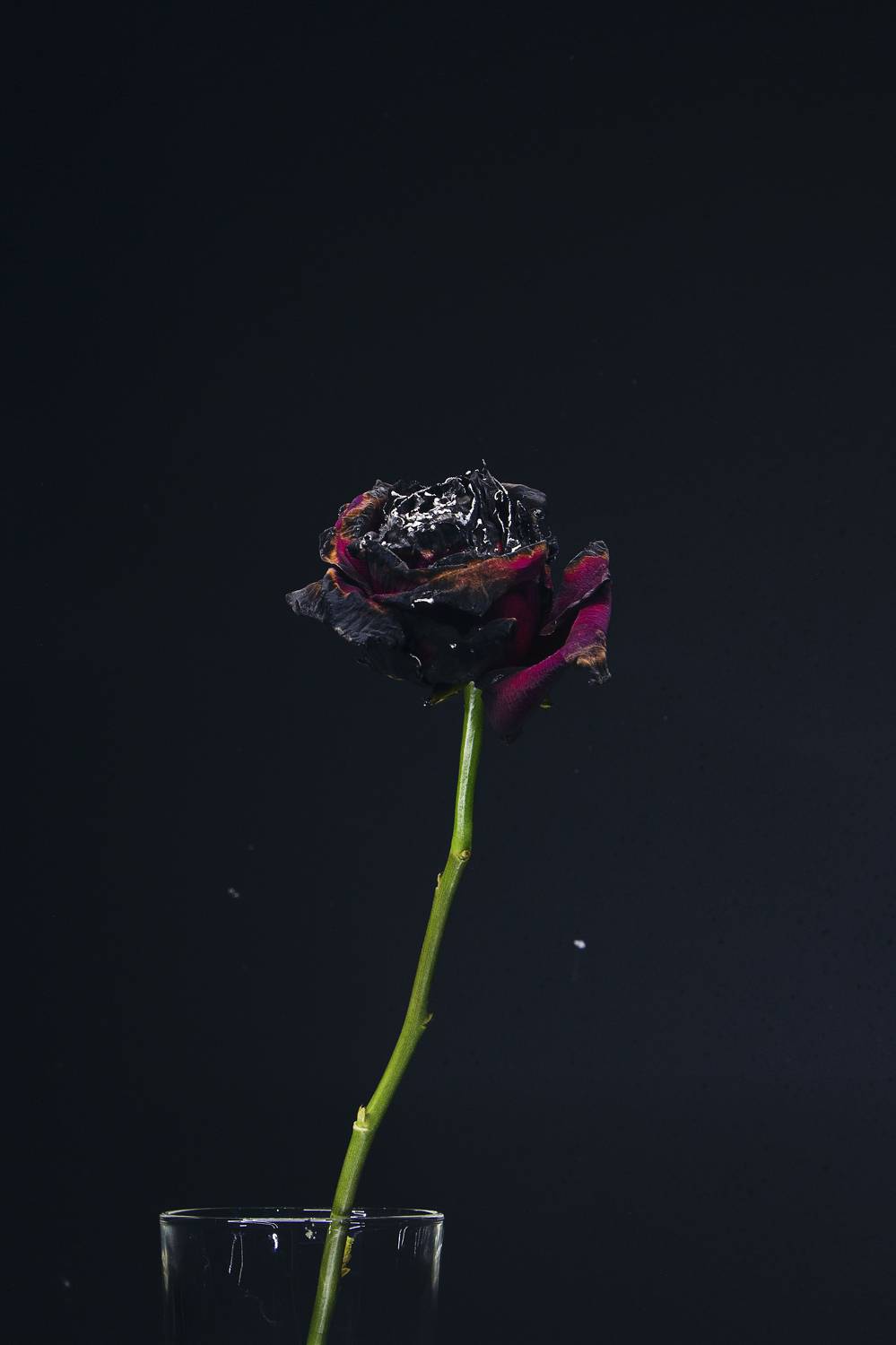 , Невмержицкий Валерий