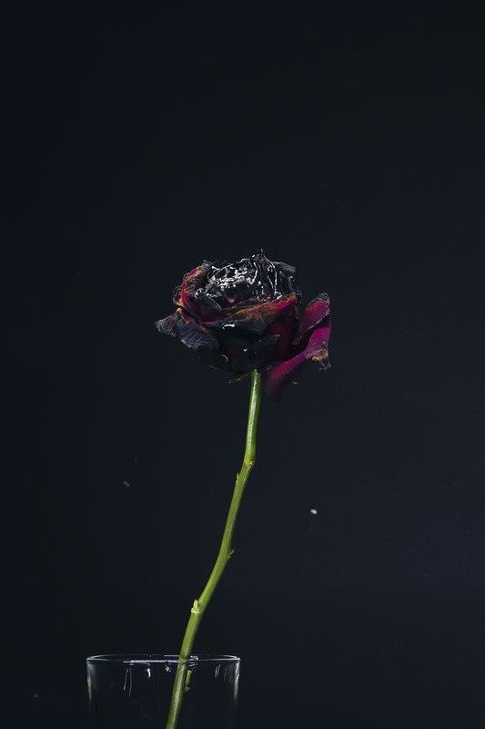 No name фото превью