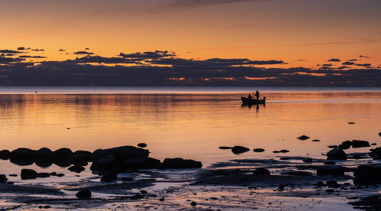 , Гордон Николай