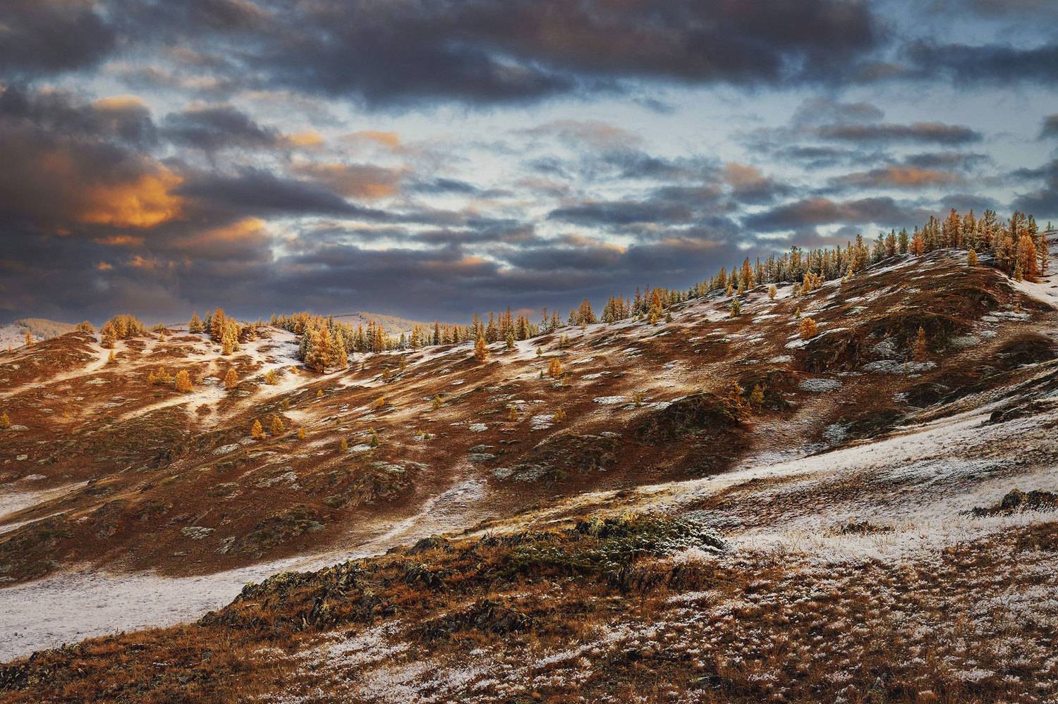 , Морозов Сергей