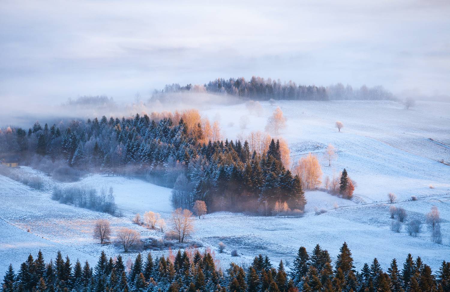 ,  Mirosław Pruchnicki