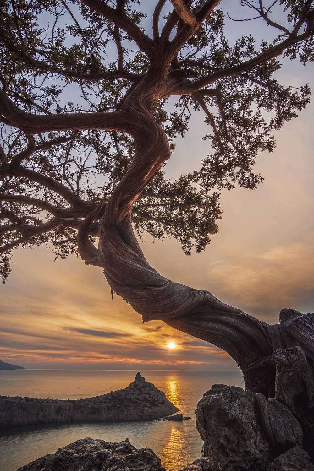 , Кривцов Андрей