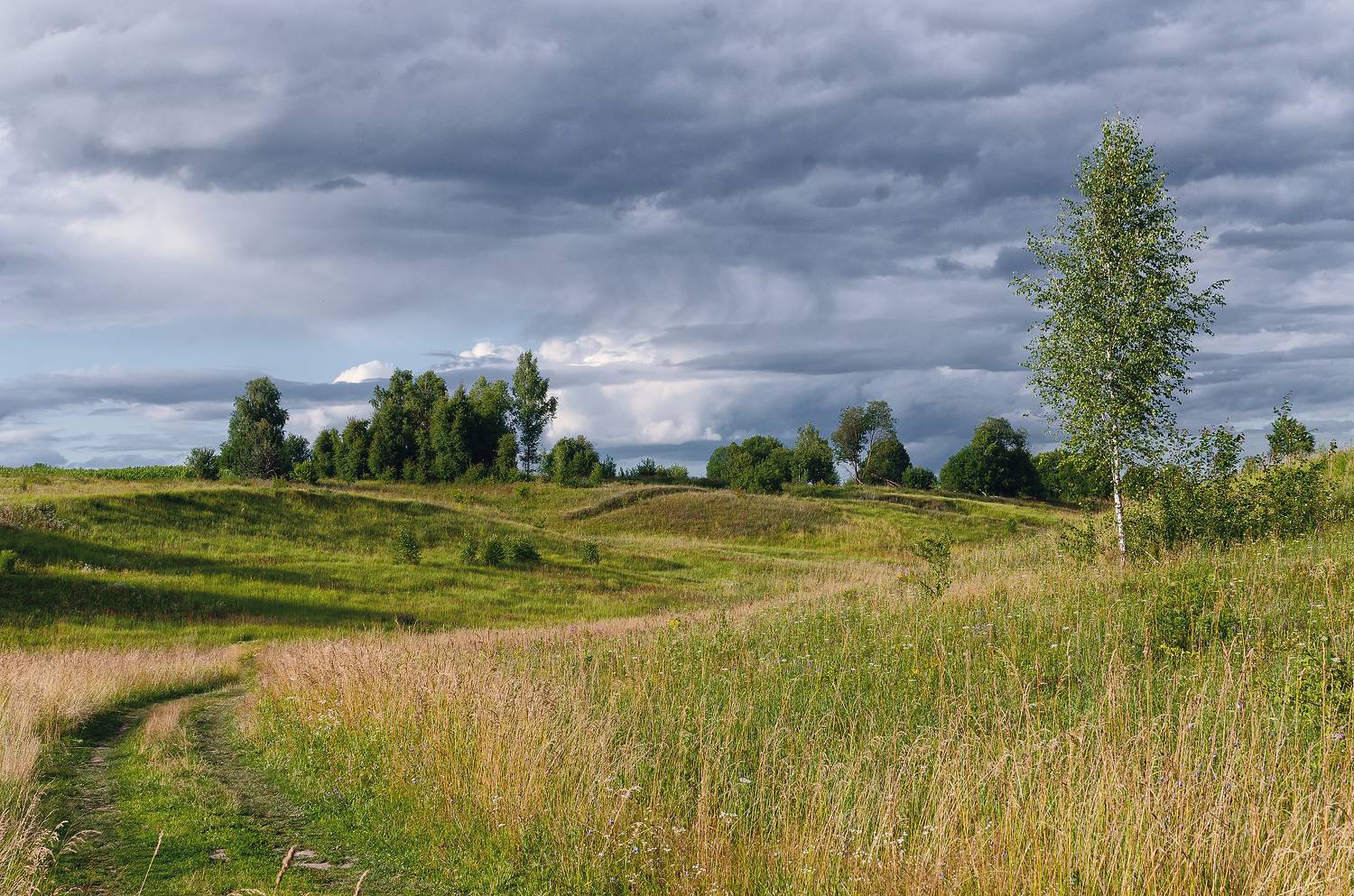 осень луг красота облака, Александр Березуцкий