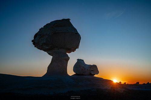Курочка и грибок