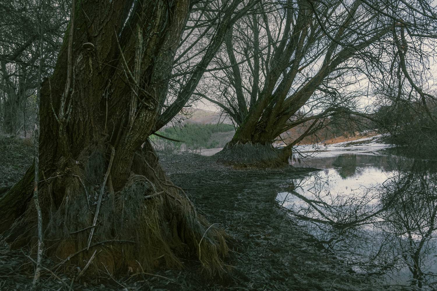 , Николов Андриян