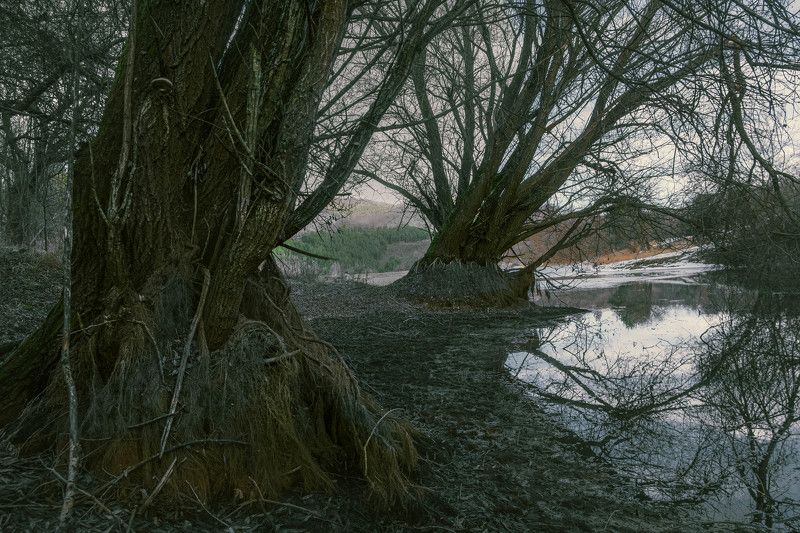 Покой стариков фото превью