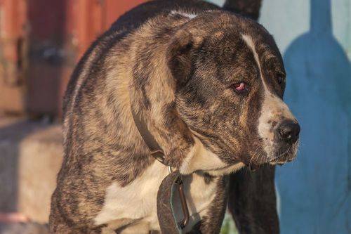 С добрым утром