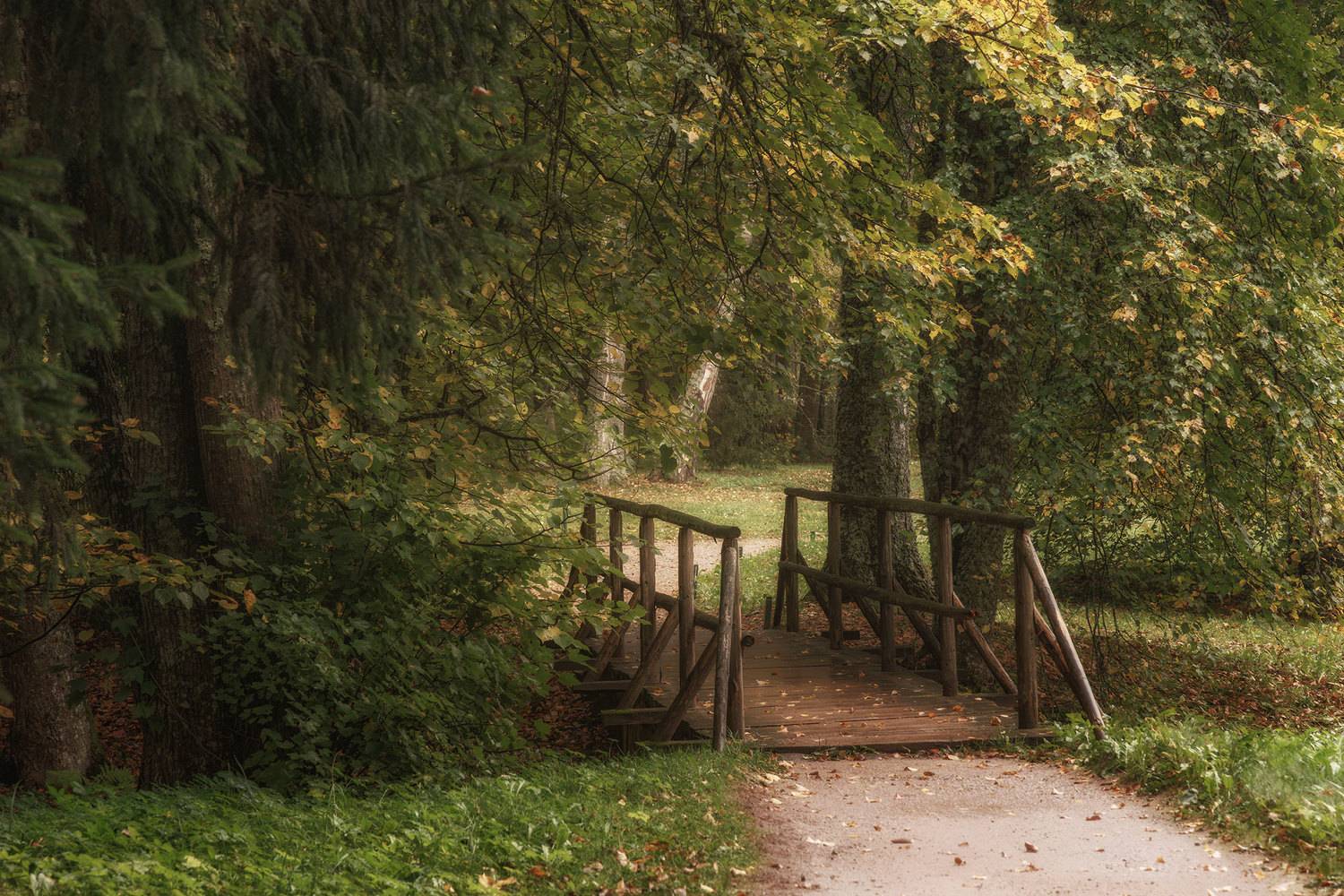 , Морозов Сергей