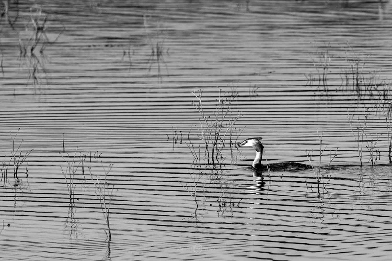 , Станислав Аристов