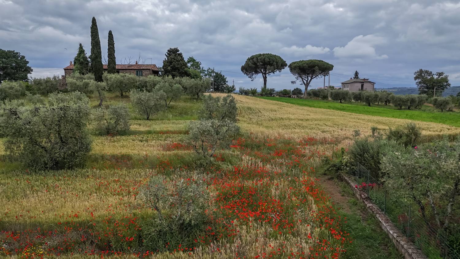 , Максимова Дария