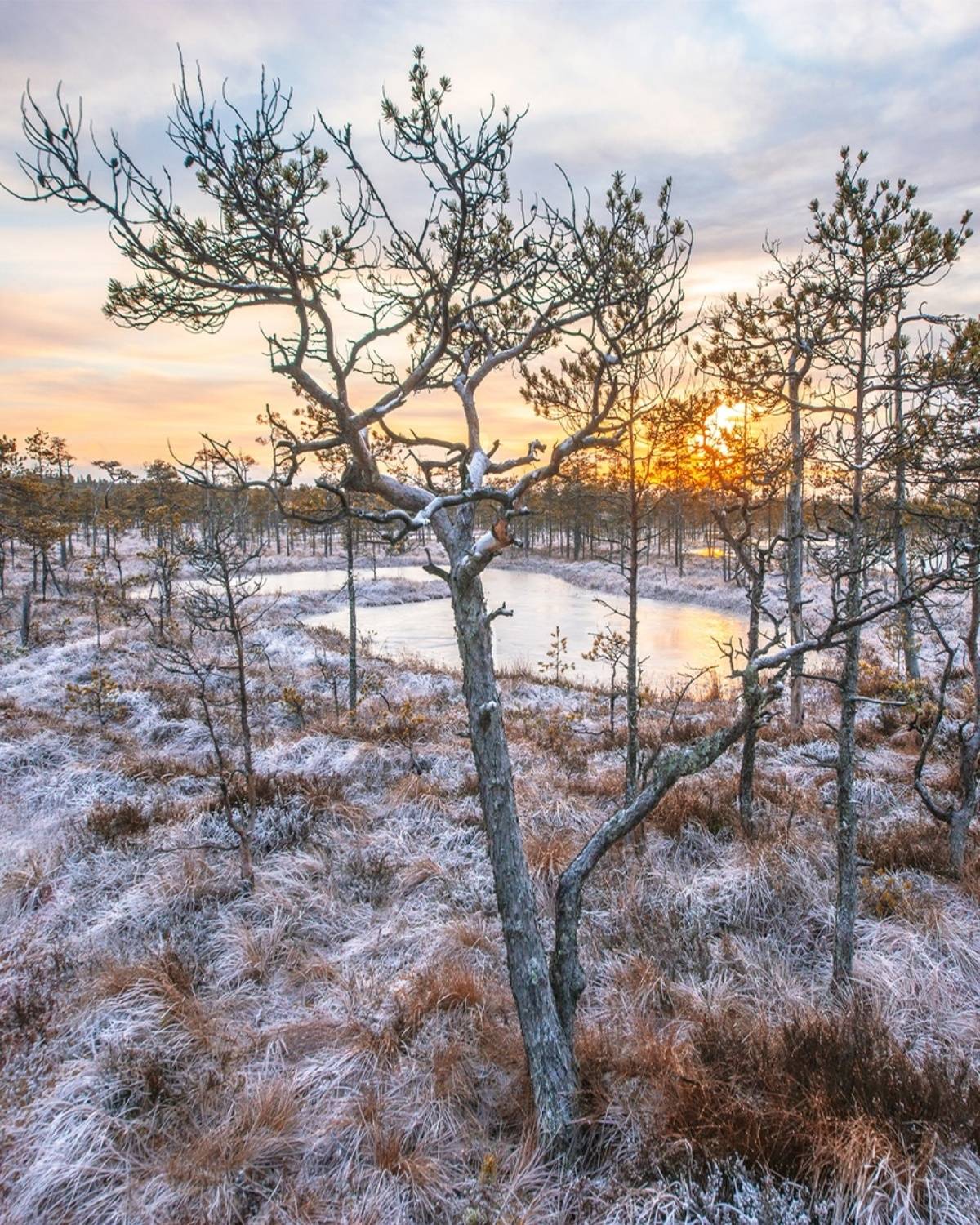 , Петр Косых