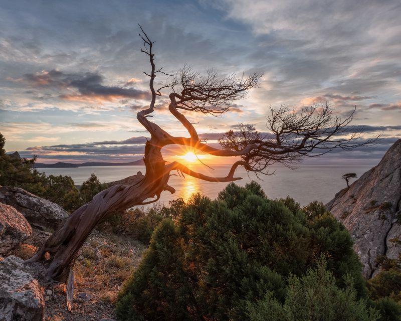 крым, новый свет, рассвет, утро, пейзаж, море, горы, crimea, landscape Долина Ада, больше похожая на Рай фото превью