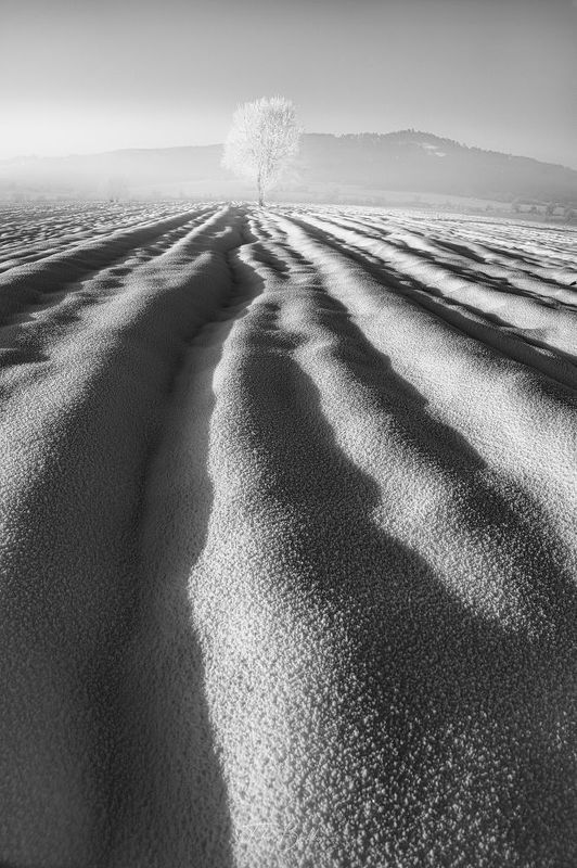 Freezing cold. фото превью