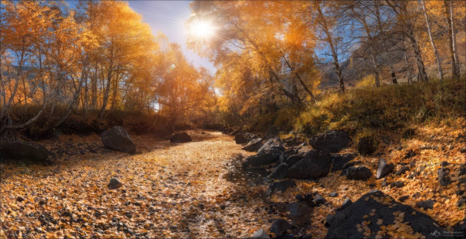 горный алтай, фототур на алтай, долина реки чулышман, телецкое озеро, мыс кырсай, фототуры 2025, фототур, Влад Соколовский