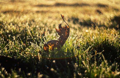 В сиянии Крымской зимы.
