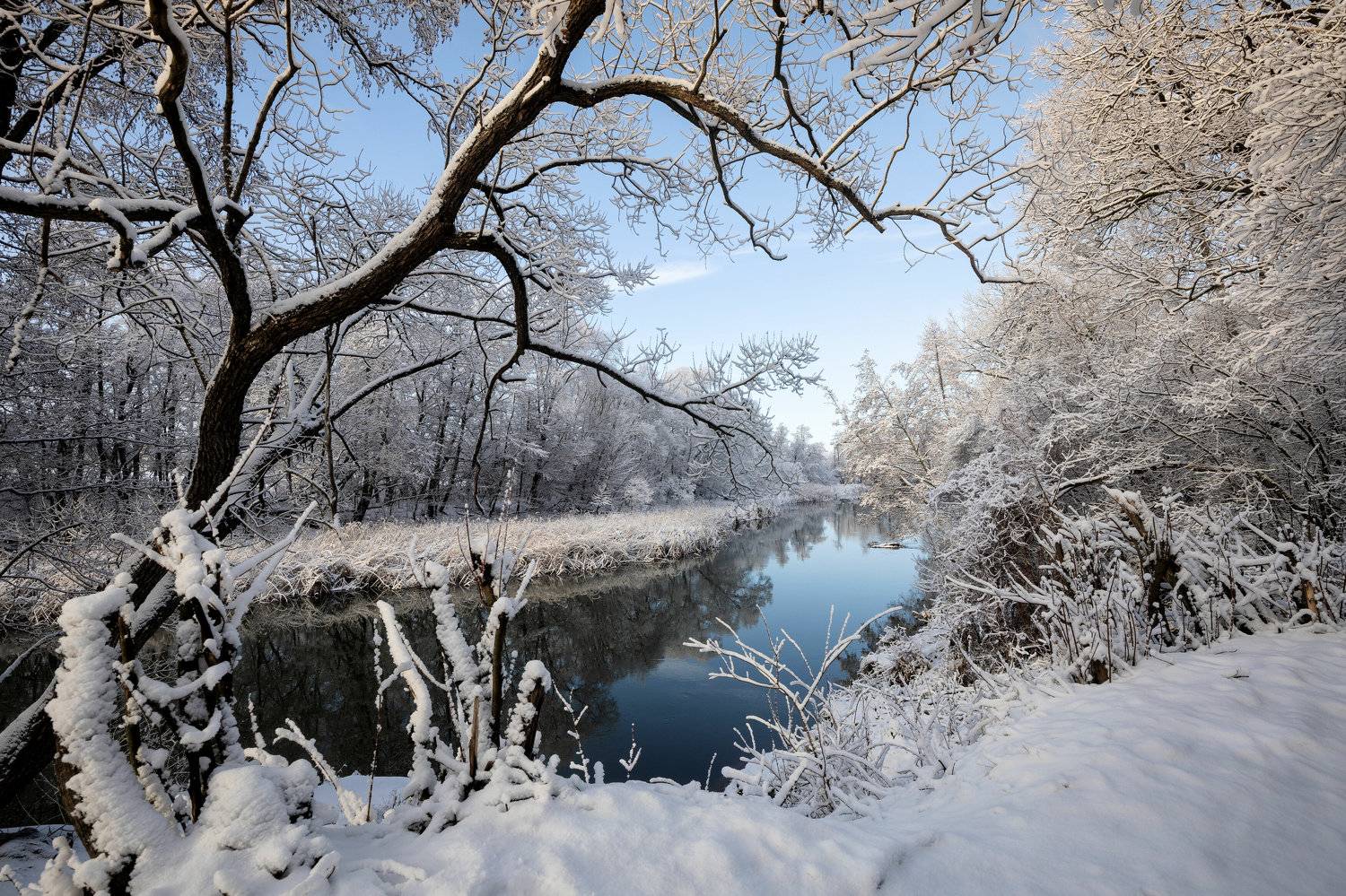 , Александр Бредихин