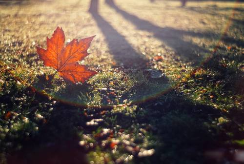 В сиянии Крымской зимы.