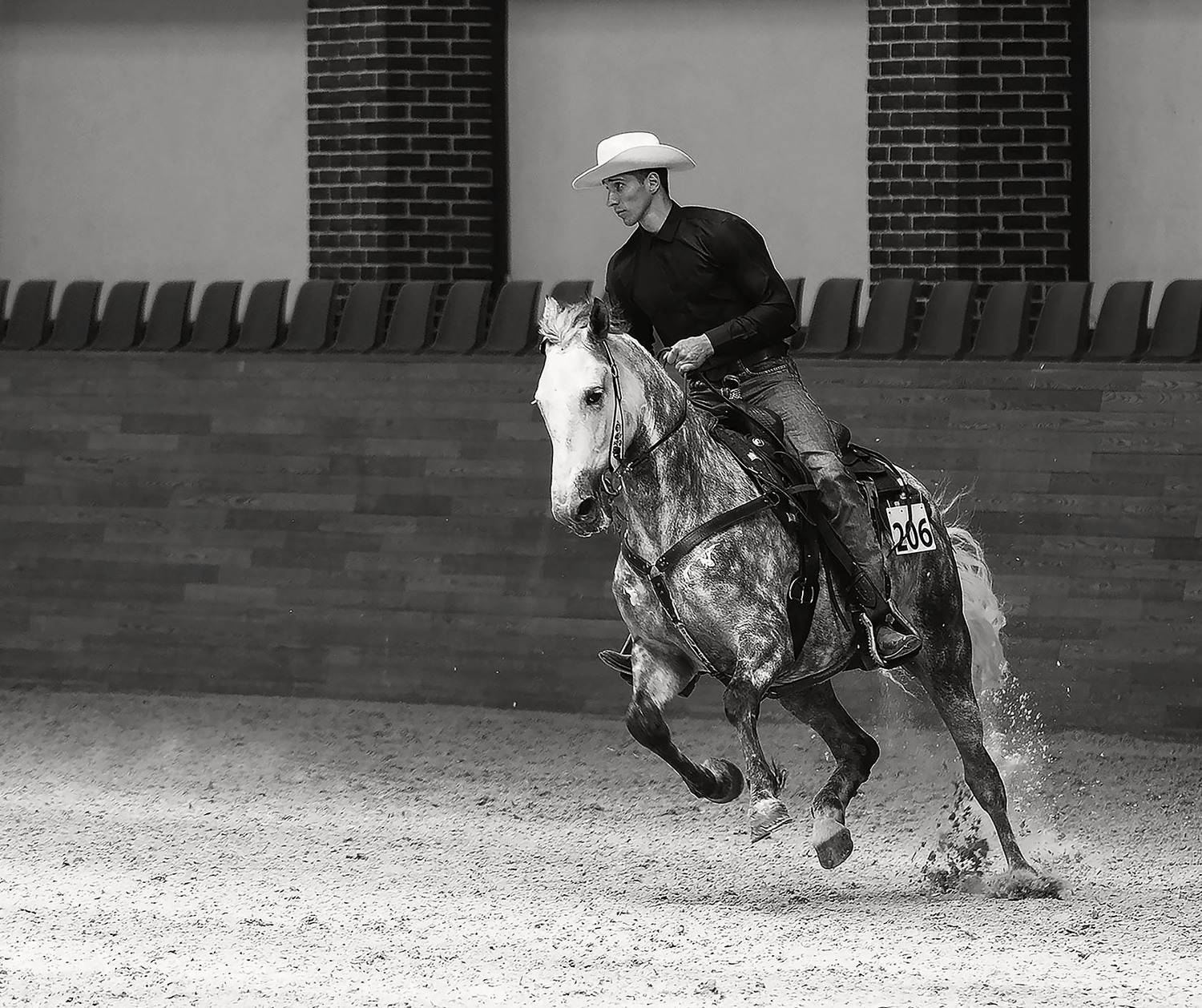 спорт, вестерн, соревнования, horse, sport, movement, competition, Стукалова Юлия