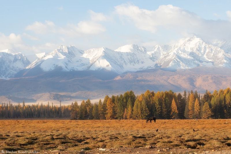 северо-чуйский хребет, алтай, горный алтай, панорама Северо-Чуйский хребет фото превью