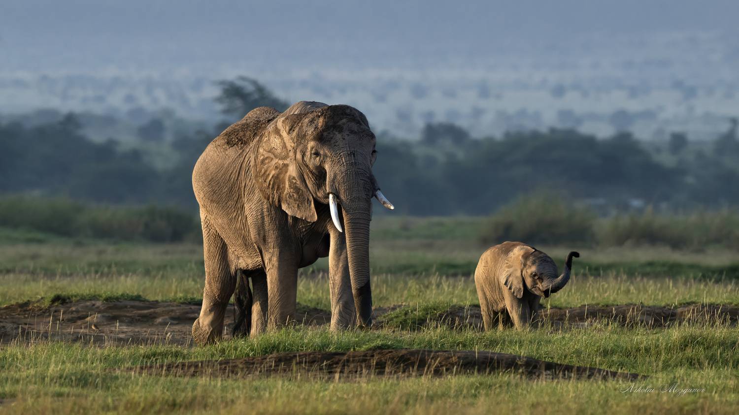 , Николай Мозгунов