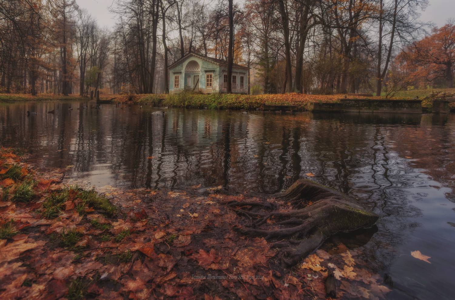 питер, пушкин, царское село, царское,  landscape, tsarskoye selo, autumn, туман, городской пейзаж, санкт-петербург, закат, александровский парк, Щепотина Татьяна