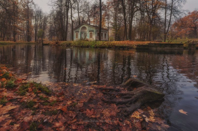 питер, пушкин, царское село, царское,  landscape, tsarskoye selo, autumn, туман, городской пейзаж, санкт-петербург, закат, александровский парк Октябрь в Царском фото превью