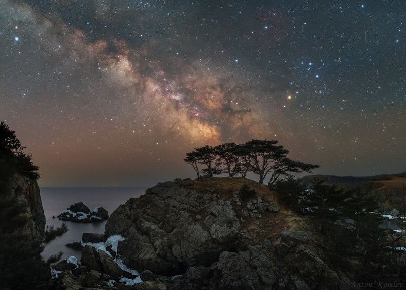 приморье, приморский край, сосны, орлинка, бухта теплая, ночь, млечный путь На берегу поющих сосен фото превью