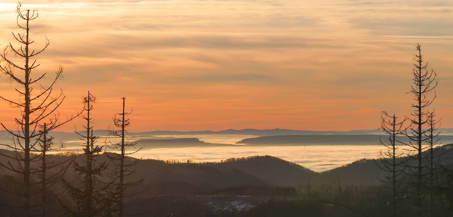 , Игорь Дубровский