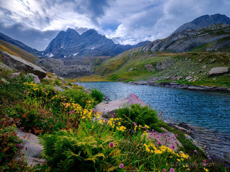 фото превью