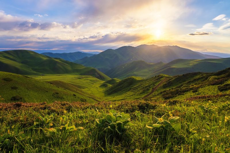 Утро на кыргызстанских холмах фото превью
