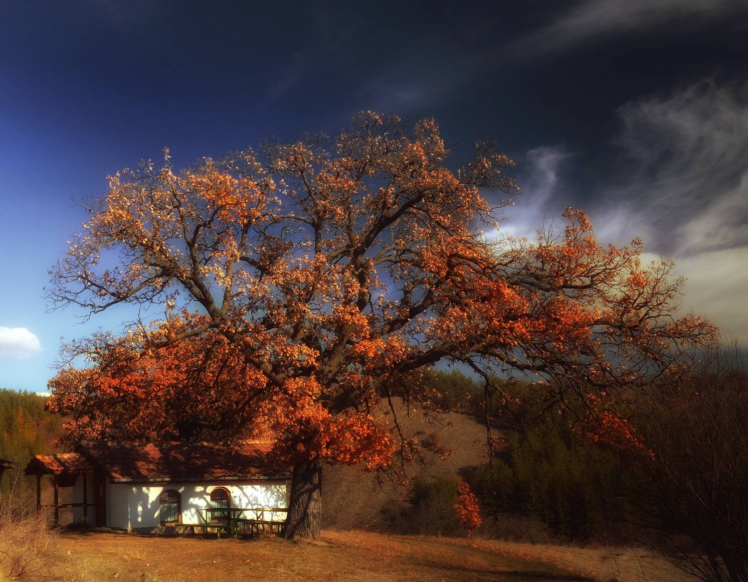 , Юлияна Стоянова