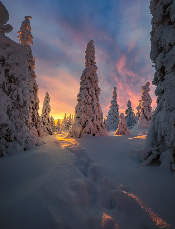 Ruka фото превью