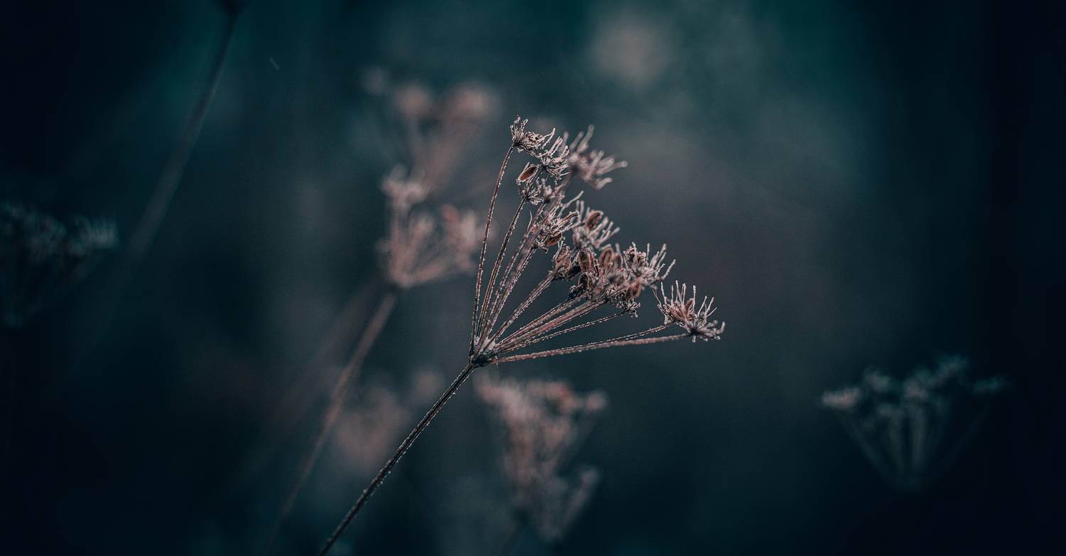 , Подосинников Максим