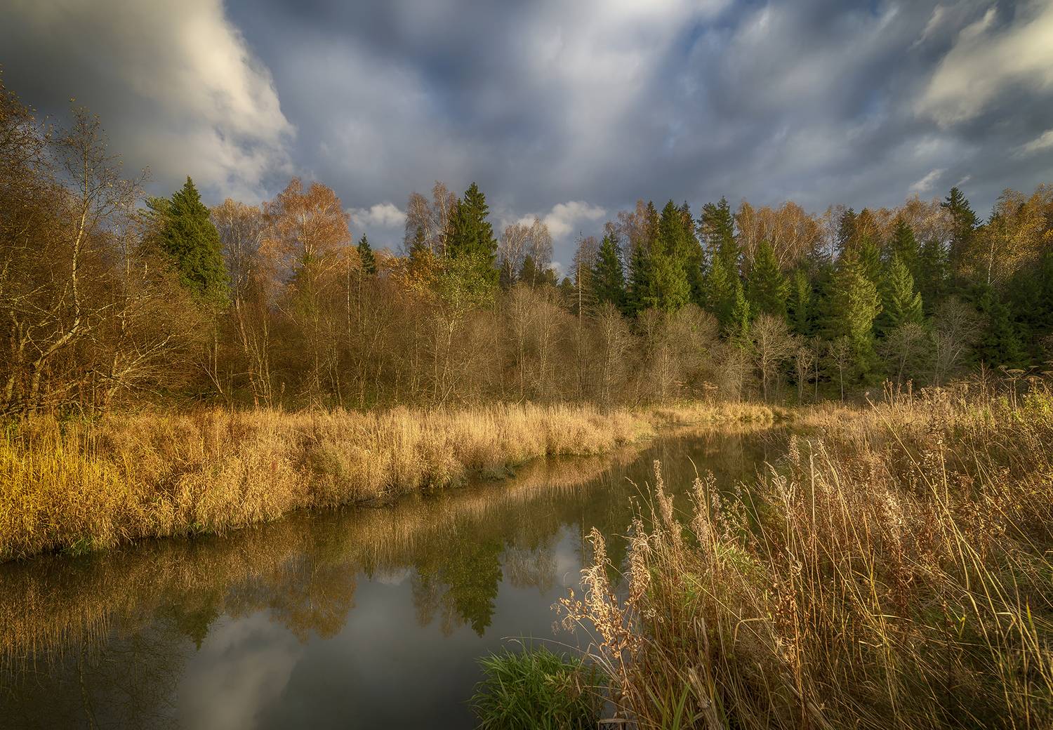 , Сергей Аникин