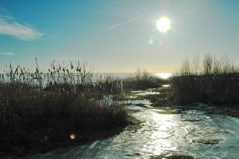 фото превью