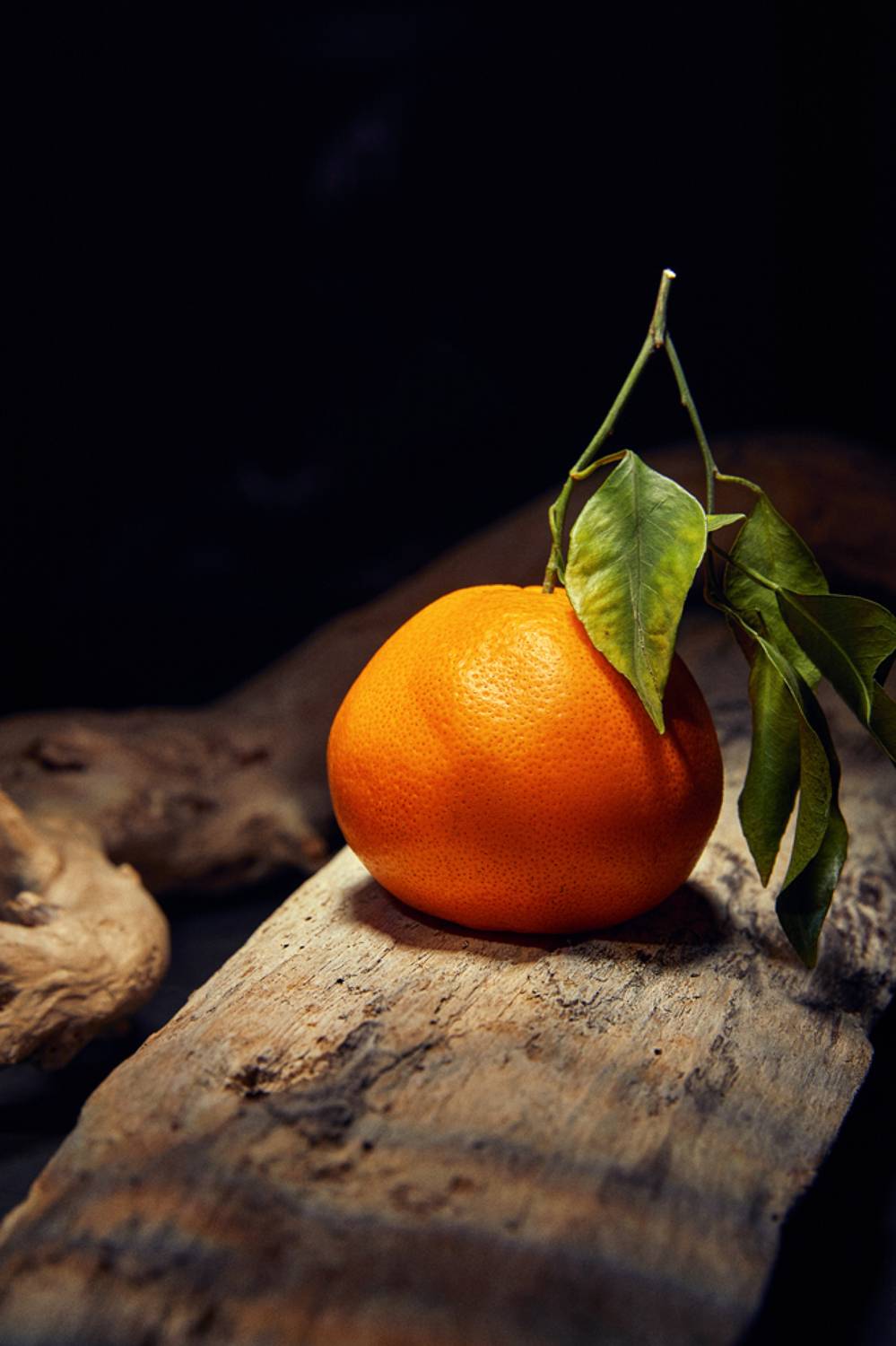 , Герц Дмитрий