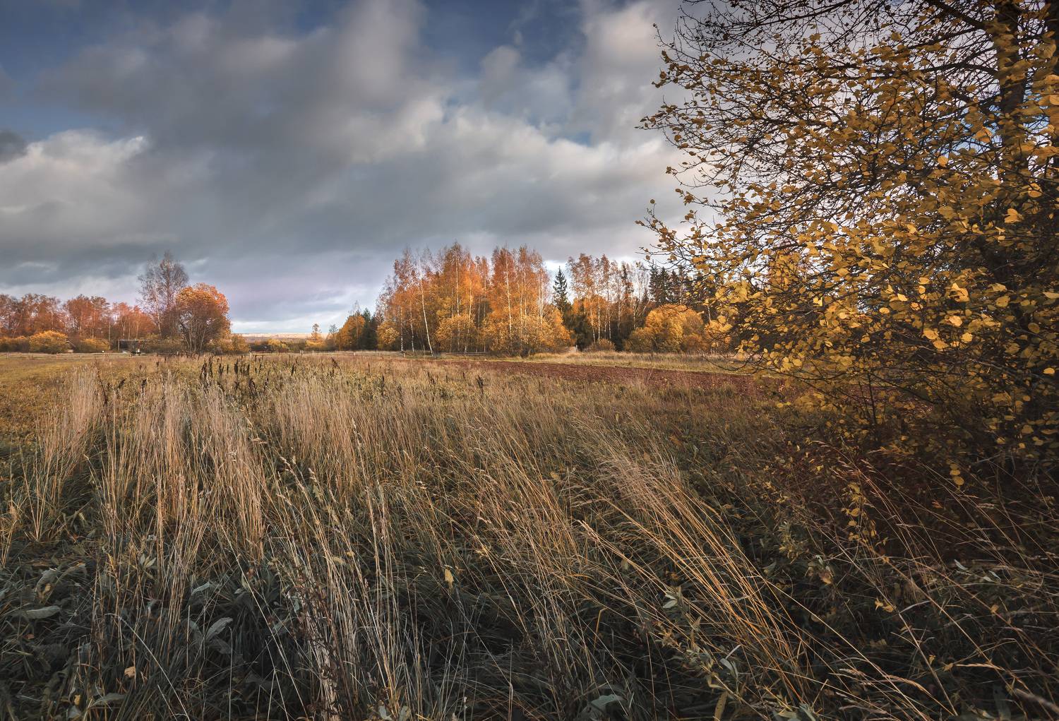 октябрь Торбеево, Зеленько Дмитрий