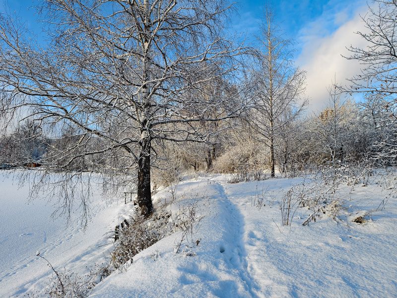 Последний солнечный день фото превью