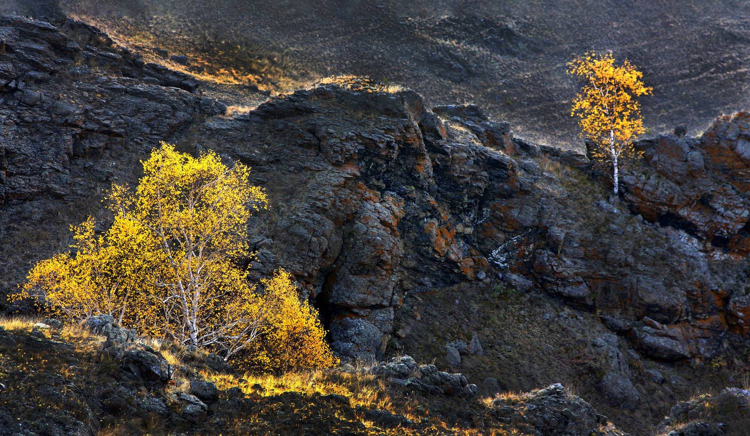 хр. Нурали, Башкирия, Ушаков Валерий